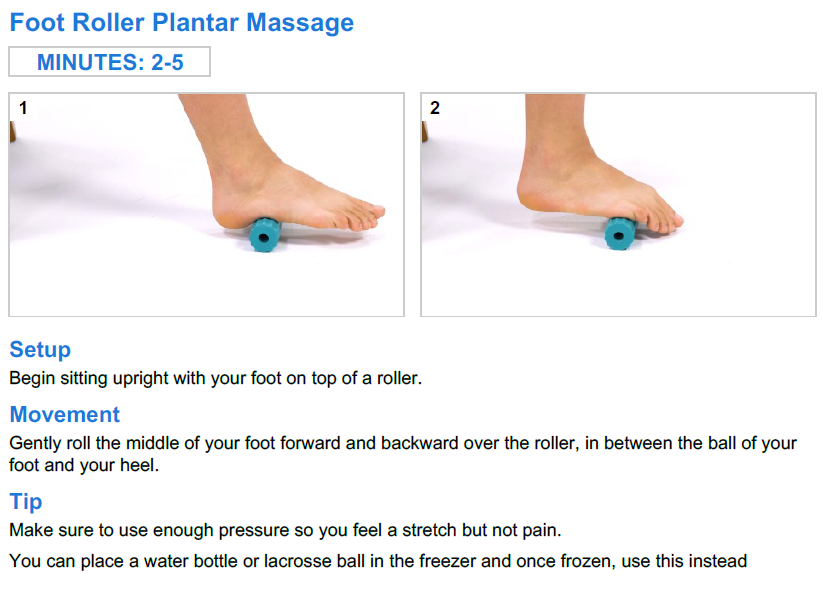 Foot Roller Plantar Massage