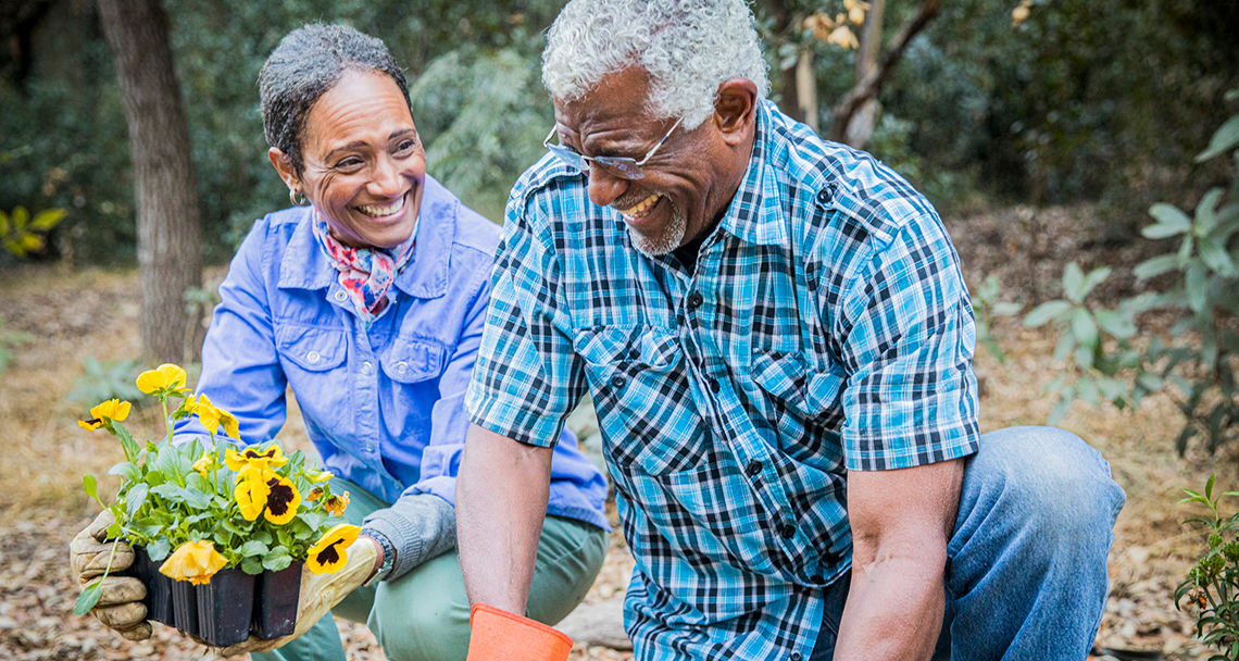 same day knee replacement near watertown ny elderly couple smiling while gardening