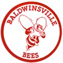 sports medicine near syracuse ny image of baldwinsville bees logo